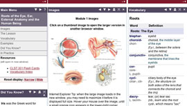 CLST301 website