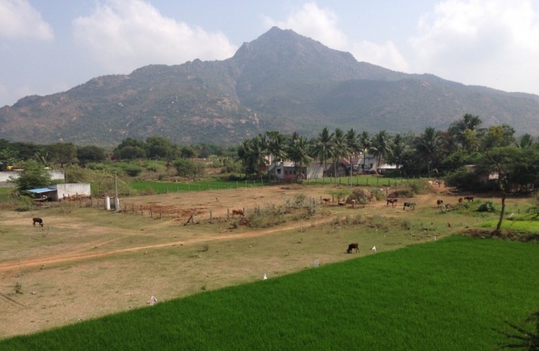 Tiruvannamalai, India